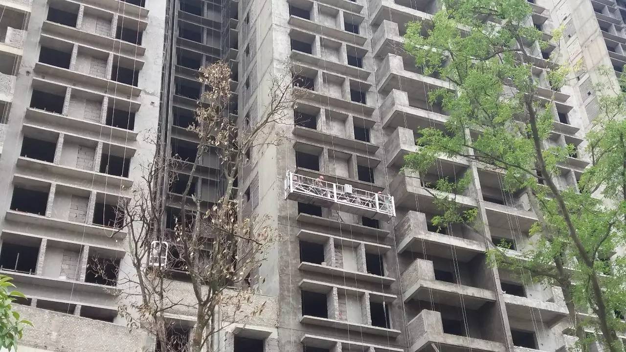 泰平盛世荷苑繁荣景象揭秘,最新消息与发展动态