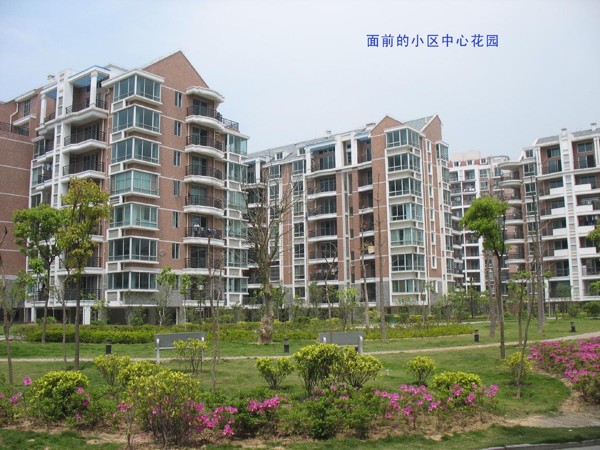 福州最新二手房急售情况分析,市场现状与未来趋势展望