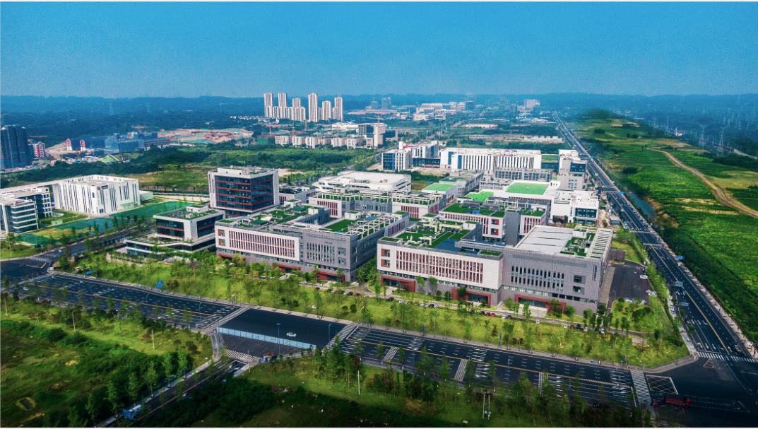 双流区永安镇最新消息全面概览