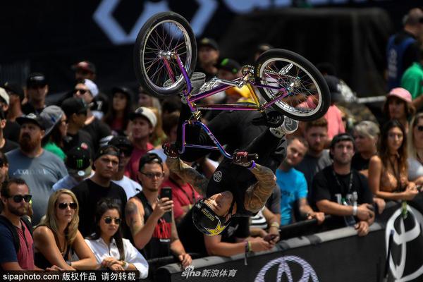 刘伯温期准选一肖930,动态词语解释落实_The14.44.6