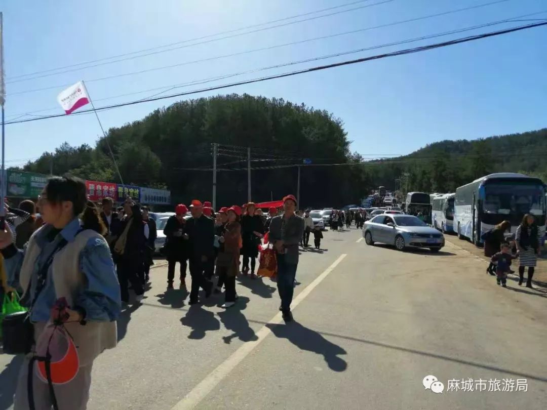 麻城市五脑山事故最新动态/消息更新