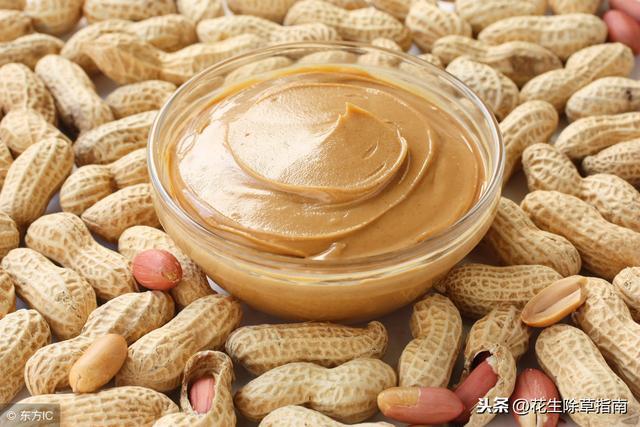 河南花生米价格最新动态,行情分析与价格走势