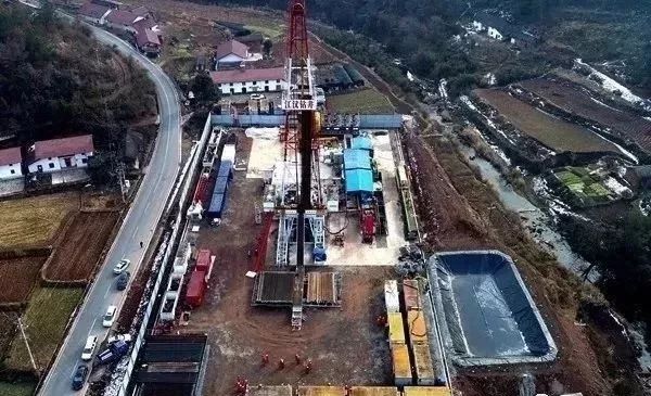 飞禽走兽 第9页