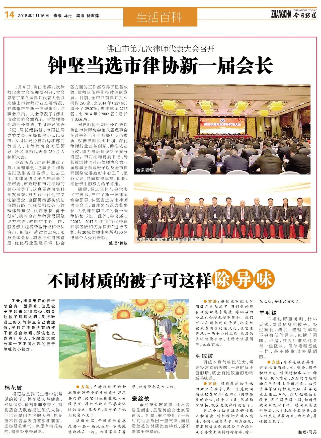 榆树最新一期招聘报纸信息概览