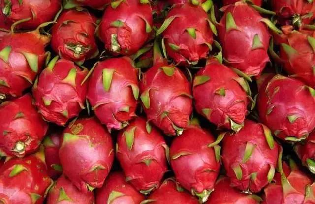 台湾火龙果新品种概览,探索最新台湾火龙果品种种类