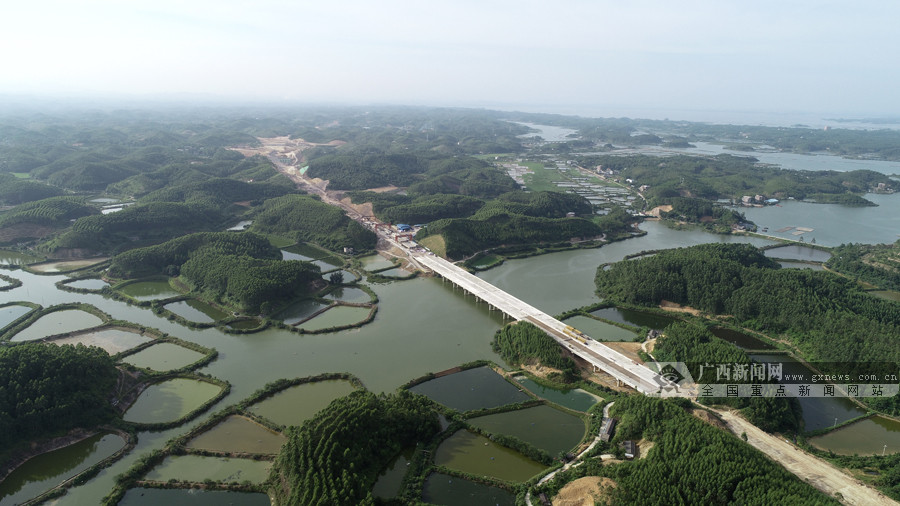 广西滨海公路最新消息更新,新闻速递与动态概览