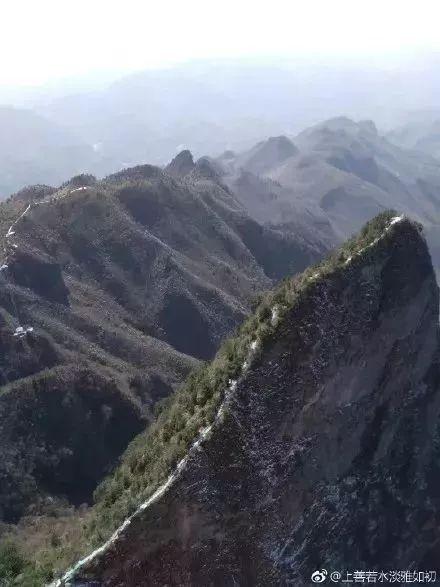 豺狼当道 第10页