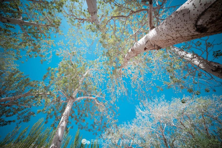 科学化方案实施探讨:澳门最精准的龙门客栈网址_9DM22.11.34