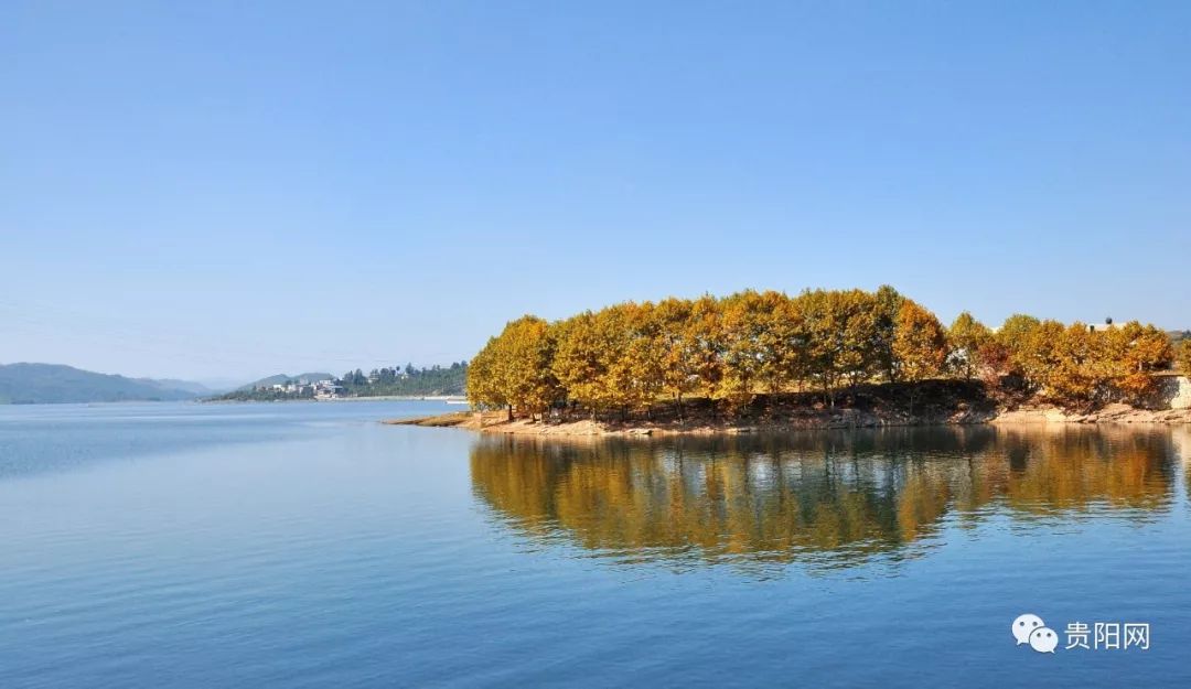 黄墩湖搬迁最新消息,最新动态与新闻更新