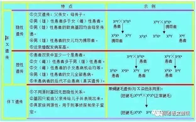 实效性策略解读:澳门精准资料大全免費經典版特色_基础版50.3.1
