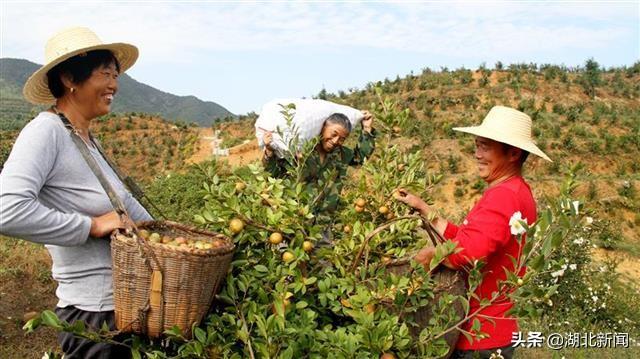 丹江口市最新干部公示及名单发布