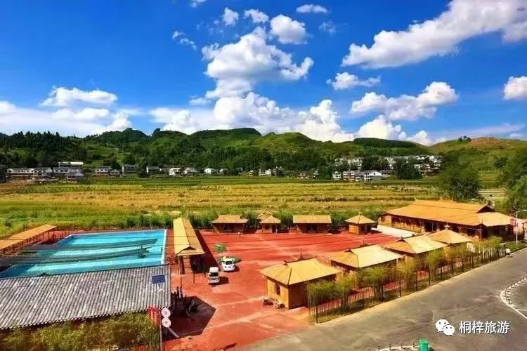 桐梓县丁月高最新动态及简历概述