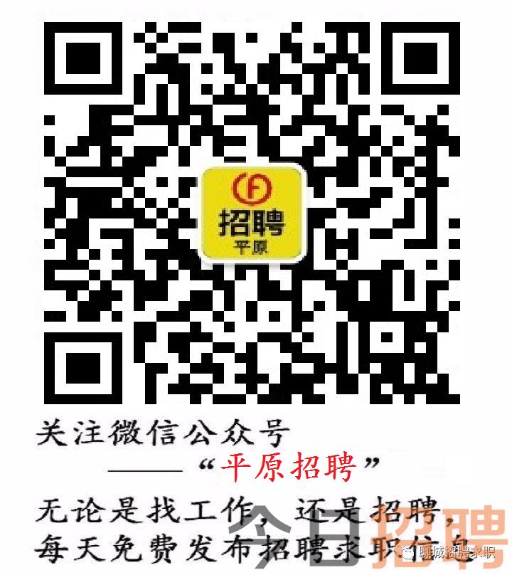 平原信息港最新司机招聘启事,司机招聘信息全面更新