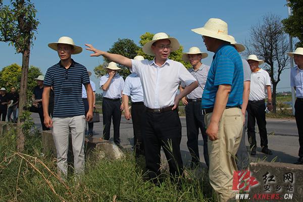 常德陈恢清最新消息新闻更新,揭秘陈恢清最新动态