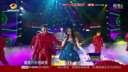 张冬玲最新演唱会视频公开,精彩演出不容错过