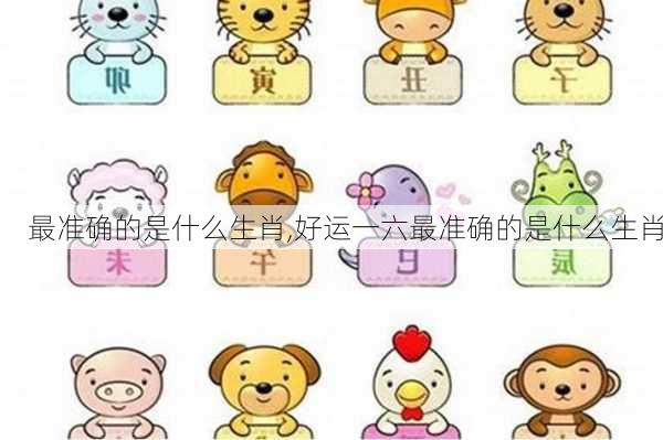 今晚一定出最准的生肖,质地解答解释落实_iPhone46.674