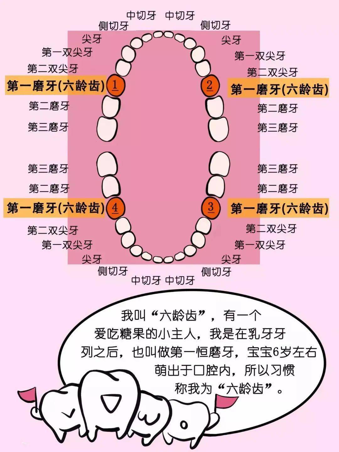 2024新澳儿童视觉成长指南全面规划提升助益_行动方案42.917