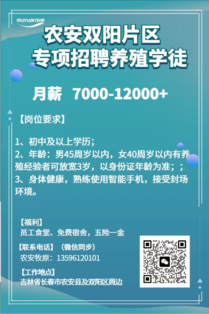 农安县最新招聘信息(涵盖2017至2020年)