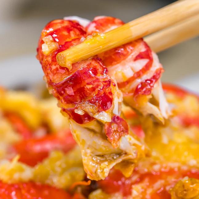 都市110直播,最新昨天与今日节目概述