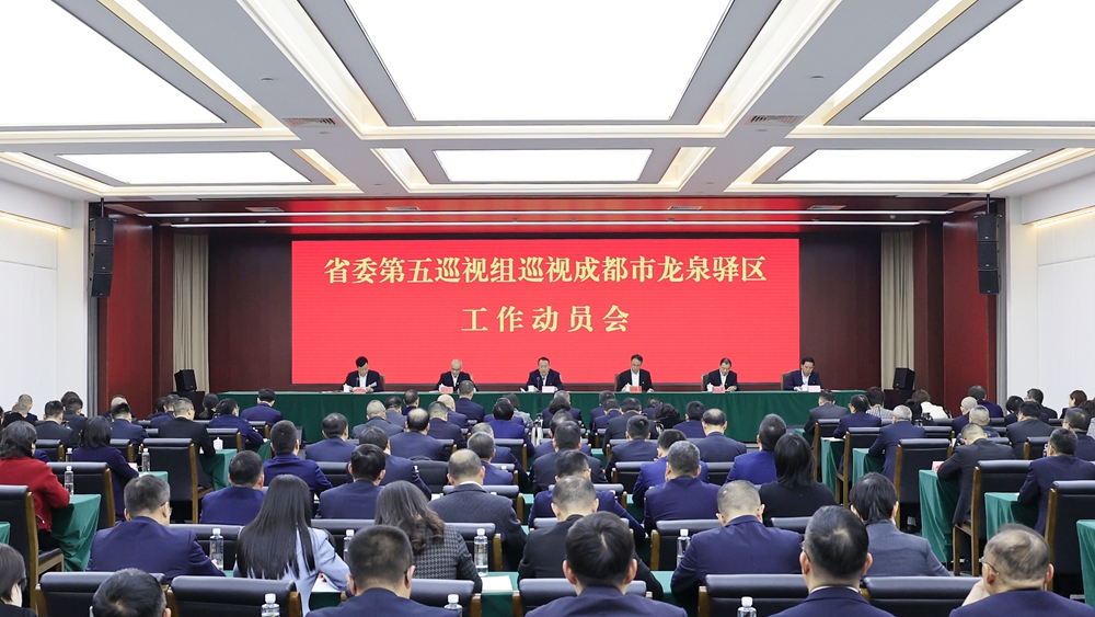 成都龙泉最新新闻报道概览