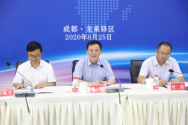 成都龙泉最新新闻报道概览