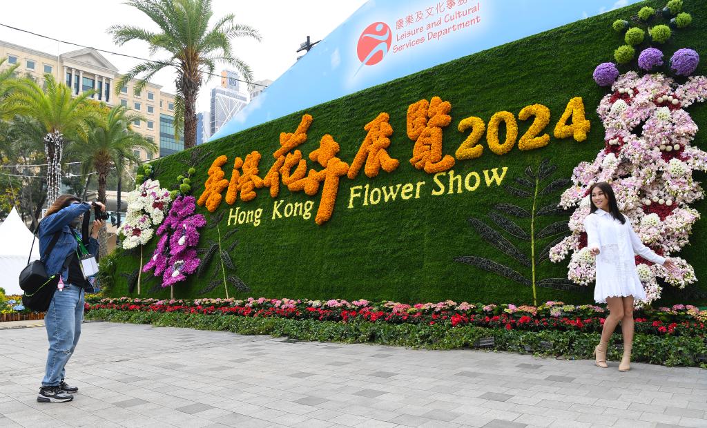 2024香港正版资料大全视频,平衡实施策略_投资版16.29.19