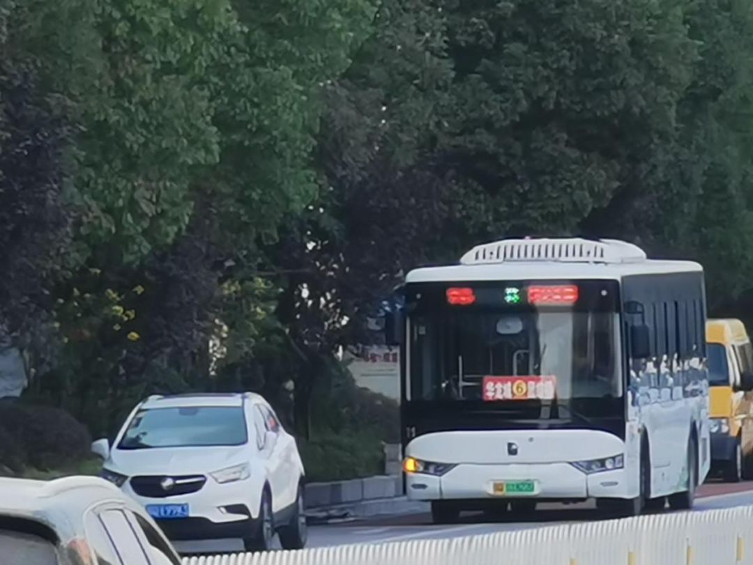 来凤华龙城最新消息全解析,步骤指南初学进阶皆适用