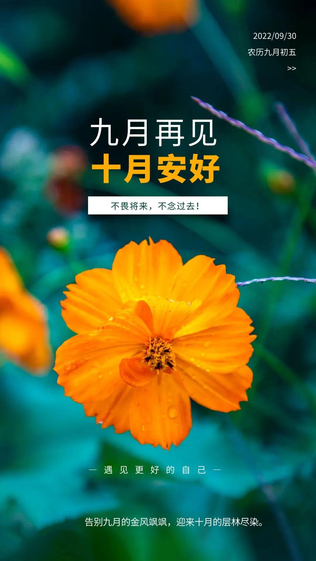九月阳光最新作品,探索创新与卓越的极致界限