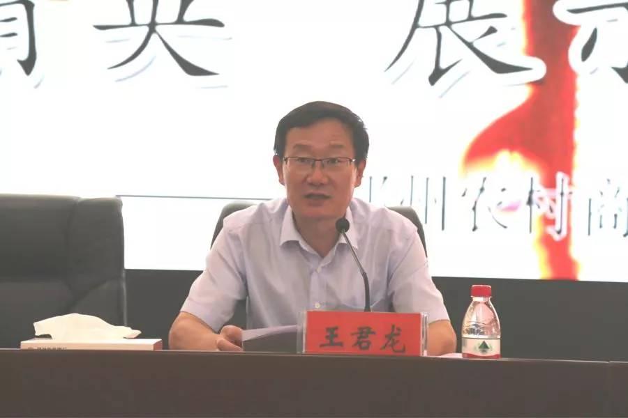 邳州手工活最新动态,小巷深处的匠心之作揭秘