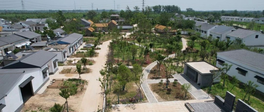 睢宁县官山镇最新发展规划概览