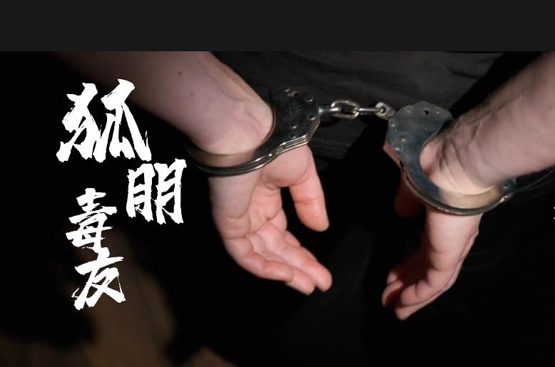 最新活春官视频实拍,变化中的学习,自信与成就感的源泉