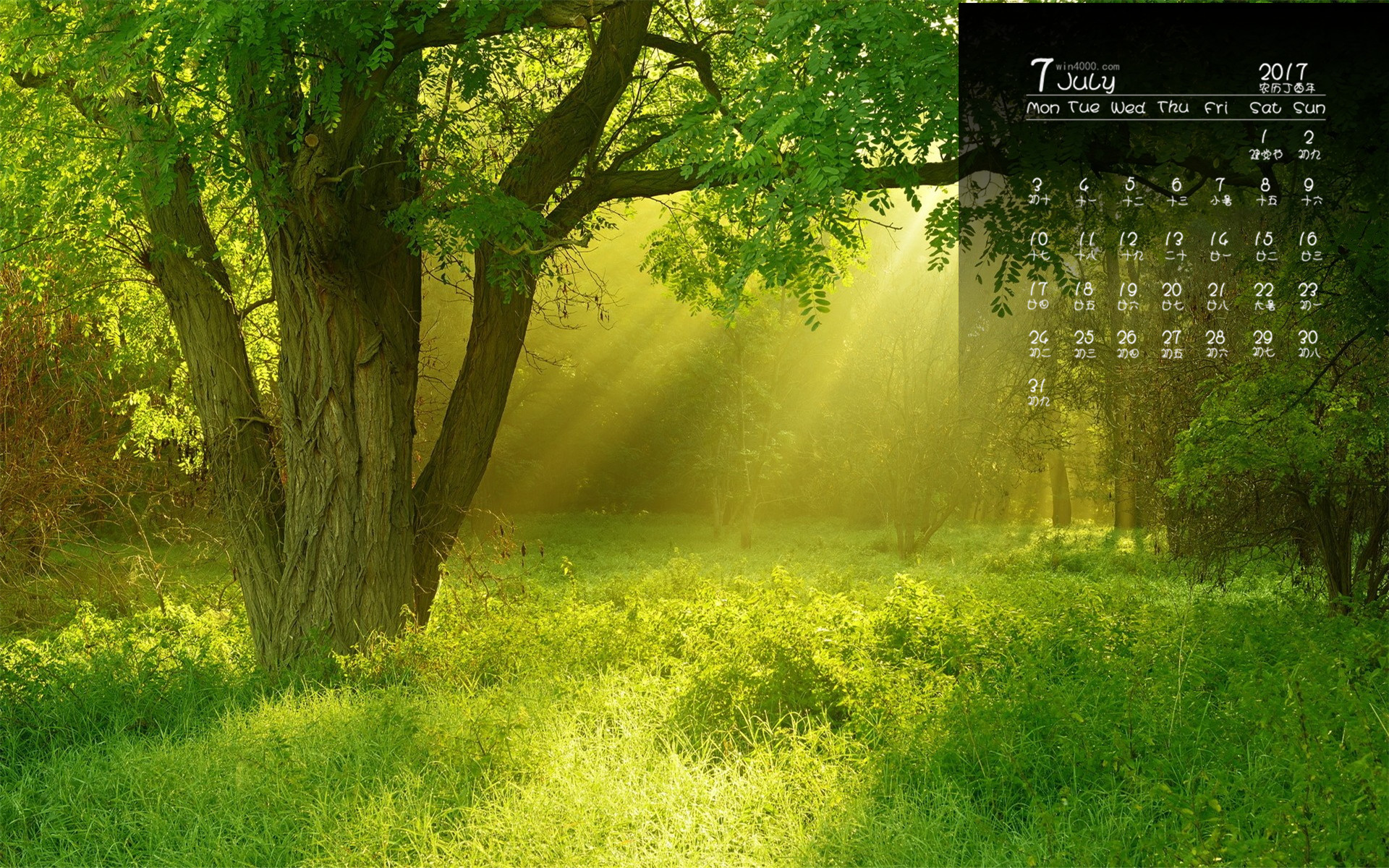 红红绿绿上期联,指什么生肖,红红绿绿上期联,指什么生肖,生肖之迷与文化的交融