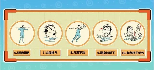 三六同路條條通,指什么生肖,三六同路条条通,指什么生肖