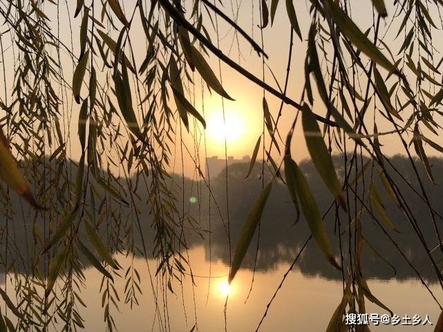 二三竿竹见君子,指什么生肖