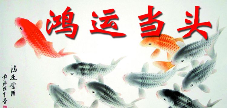 三八与九当头数,指什么生肖