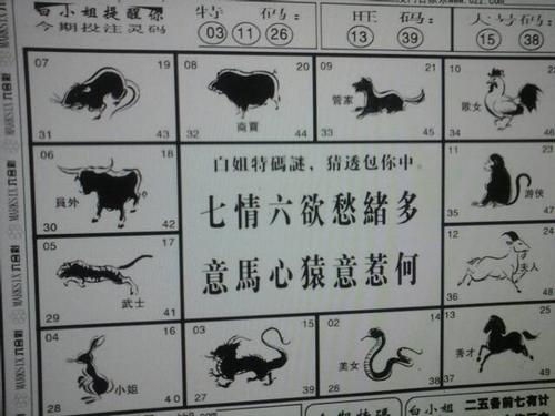 本期看好三七数,指什么生肖