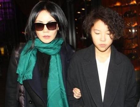 王菲的最新歌曲,王菲的最新歌曲,自然之旅的鼓舞与内心的平静之美