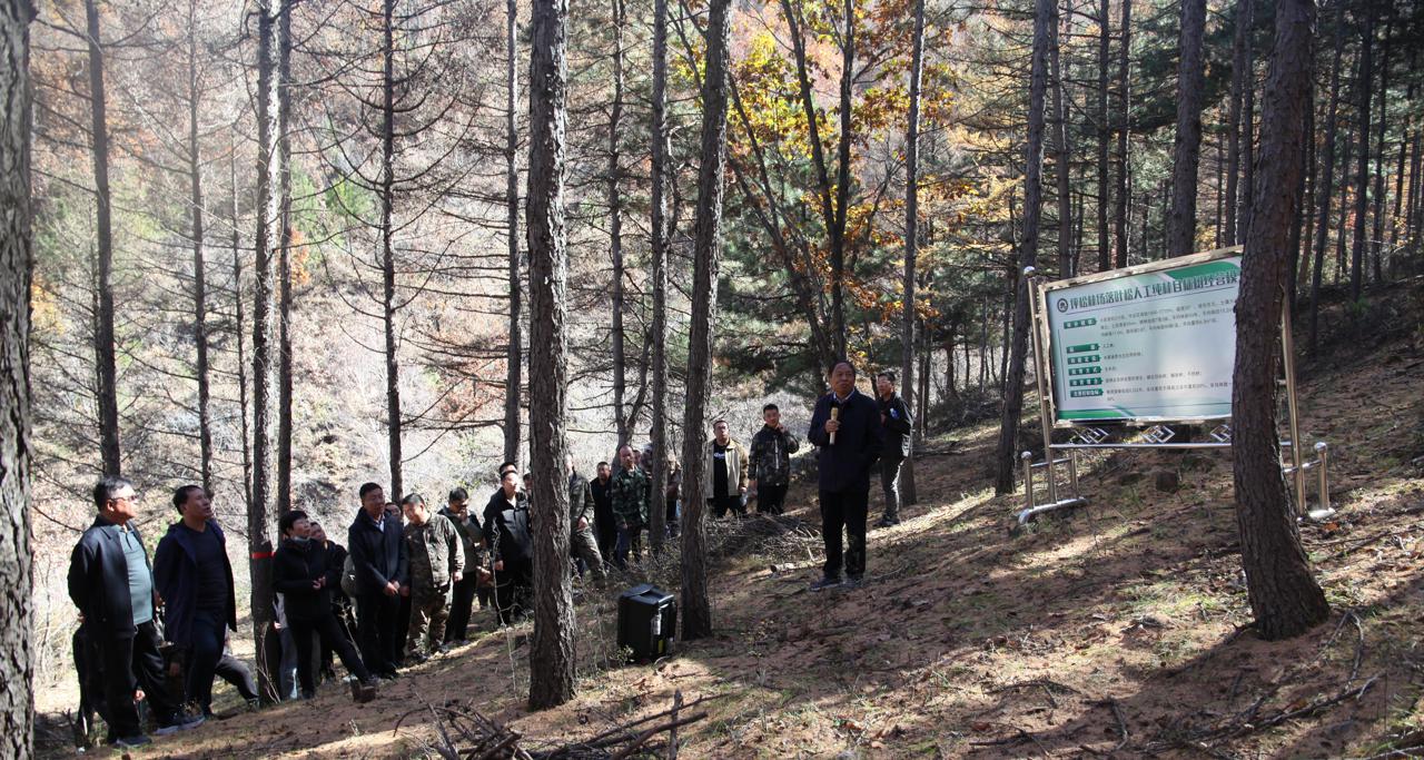 林场改革最新消息,林场改革最新消息,步骤指南