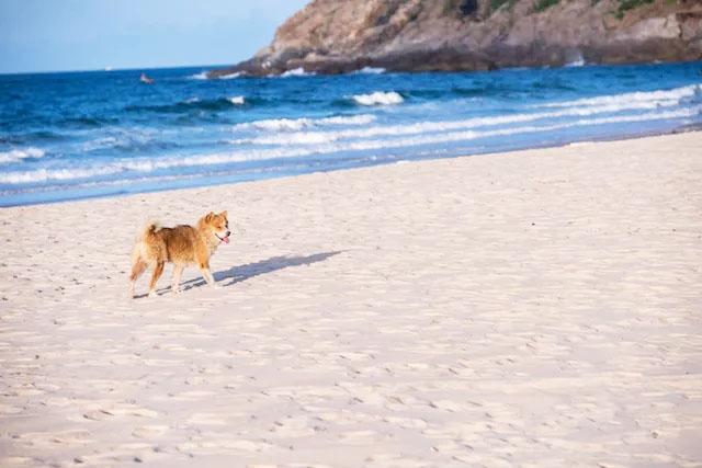 三亚红塘湾最新规划,三亚红塘湾最新规划——引领未来的海滨盛景