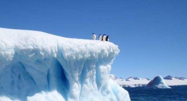 南极最新,南极最新,探索与发现的奇迹之地