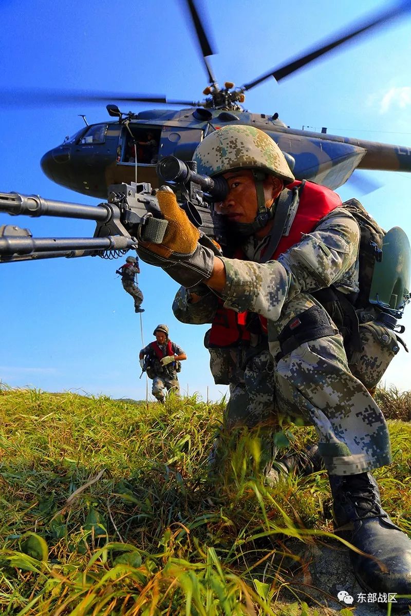 最新步兵在线,最新步兵在线,与自然共舞,重拾内心的宁静