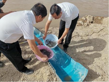 渔业水质标准 最新,渔业水质标准 最新解读