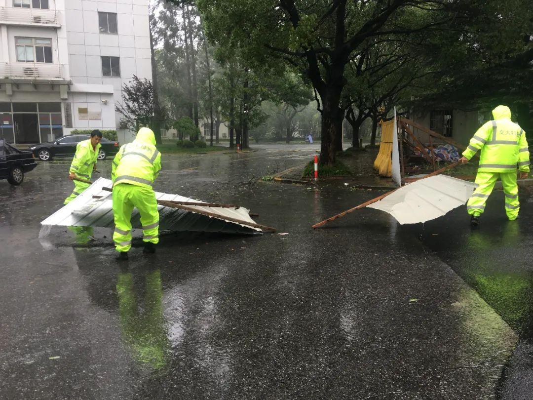 烟花台风上海最新消息,烟花台风上海最新消息,科技巨擘重塑魔都气象新体验