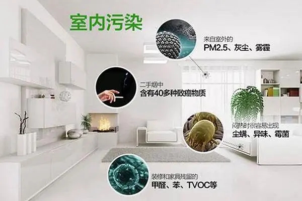 2024年新奥正版资料免费大全,家具甲醛超标_MP66.645