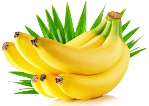 2024澳门天天开好彩大全免费_香蕉视频伊人最新,安全设计解析方案_专业款98.52.48