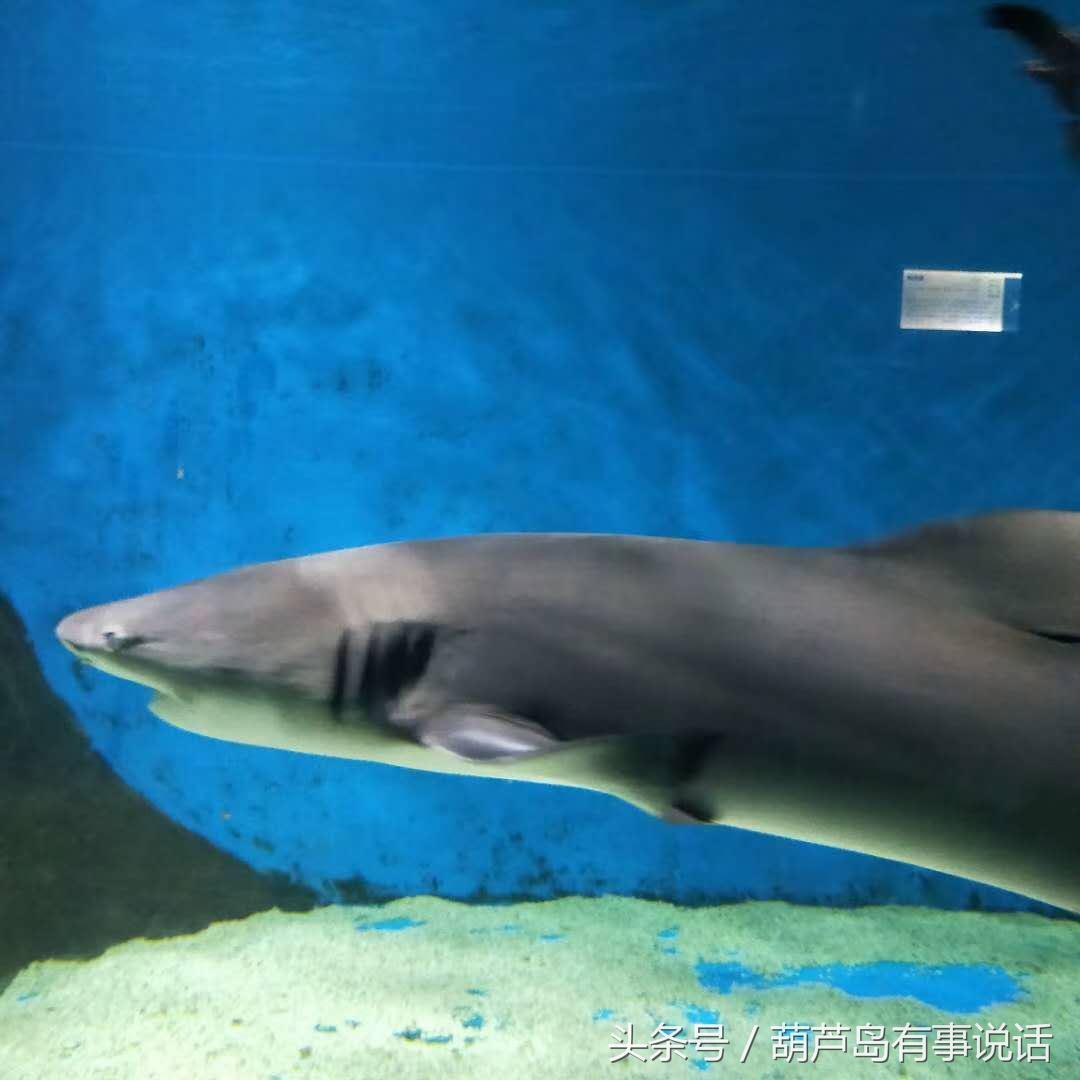 新澳天天彩资料大全最新版本_最新公用经费支出范围,统计材料解释设想_计算机版2.99.260