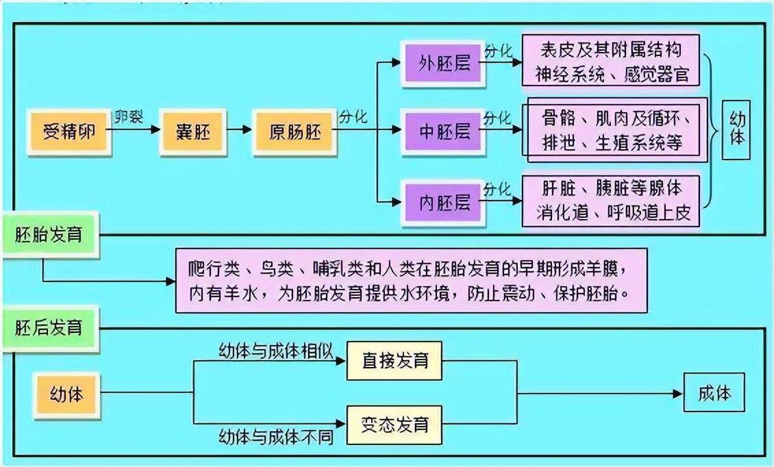 惠泽天下免费资料大全查询_最新信访办理流程图,快速解答方案设计_户外版1.65.787