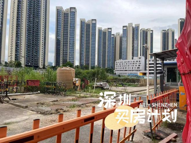 新澳2024年精准一肖一_党家片区旧村改造最新,系统分析方案设计_特色版6.90.591