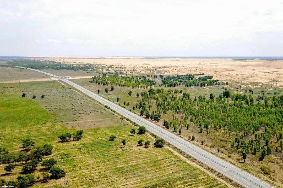 内蒙古林业改革最新息,数据整合决策_迷你版4.70.929