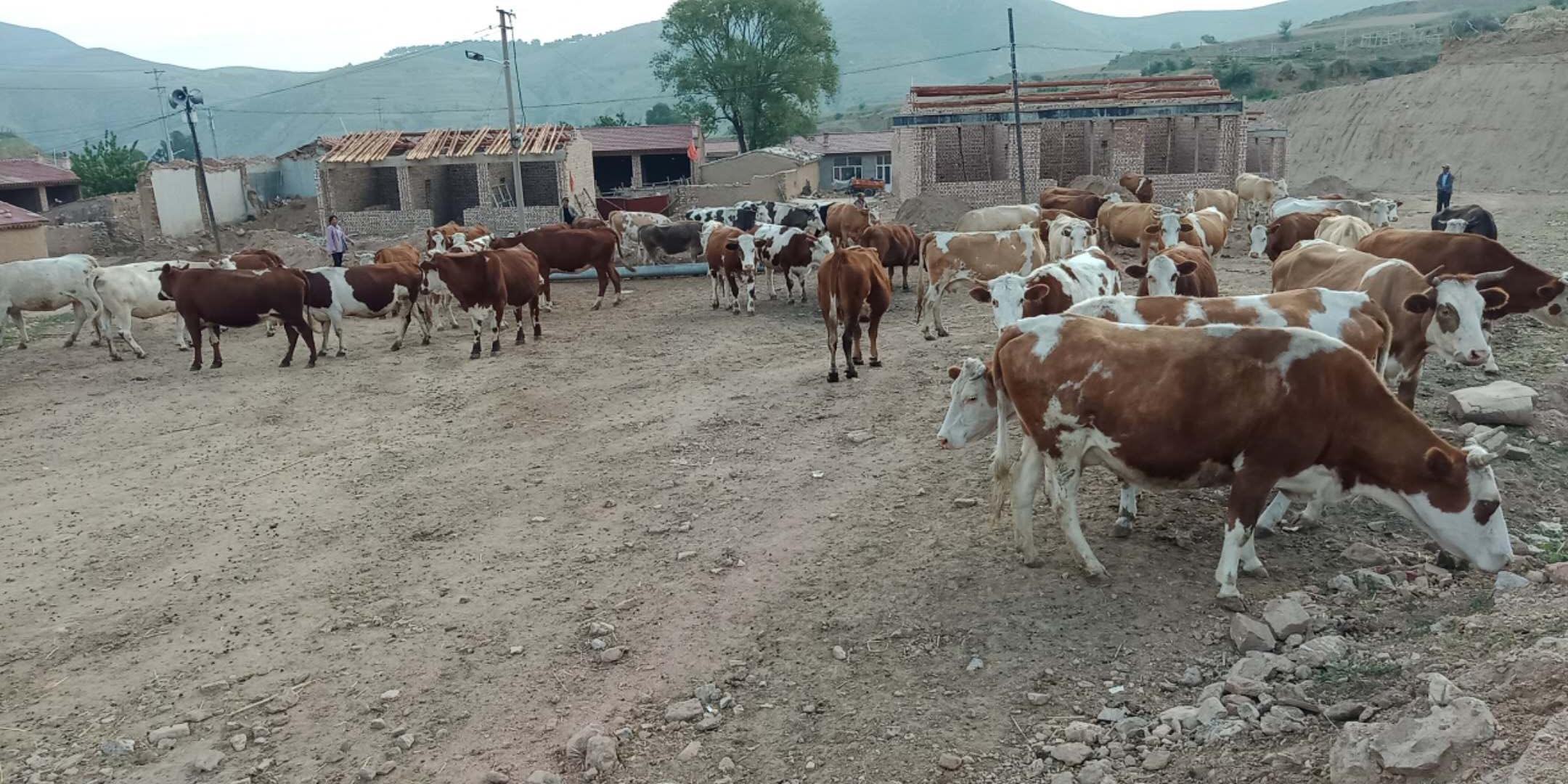 农女致富记最新章节,数据科学解析说明_触控版6.34.707